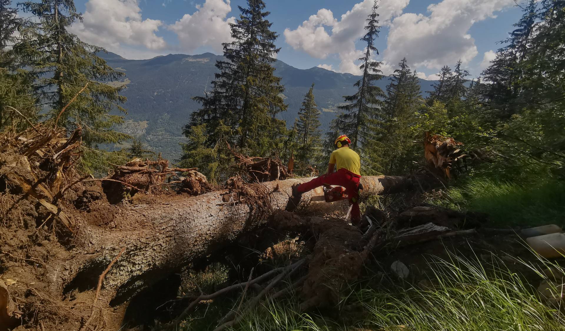 Chi Siamo | Profor SA Chi Siamo | Profor SA