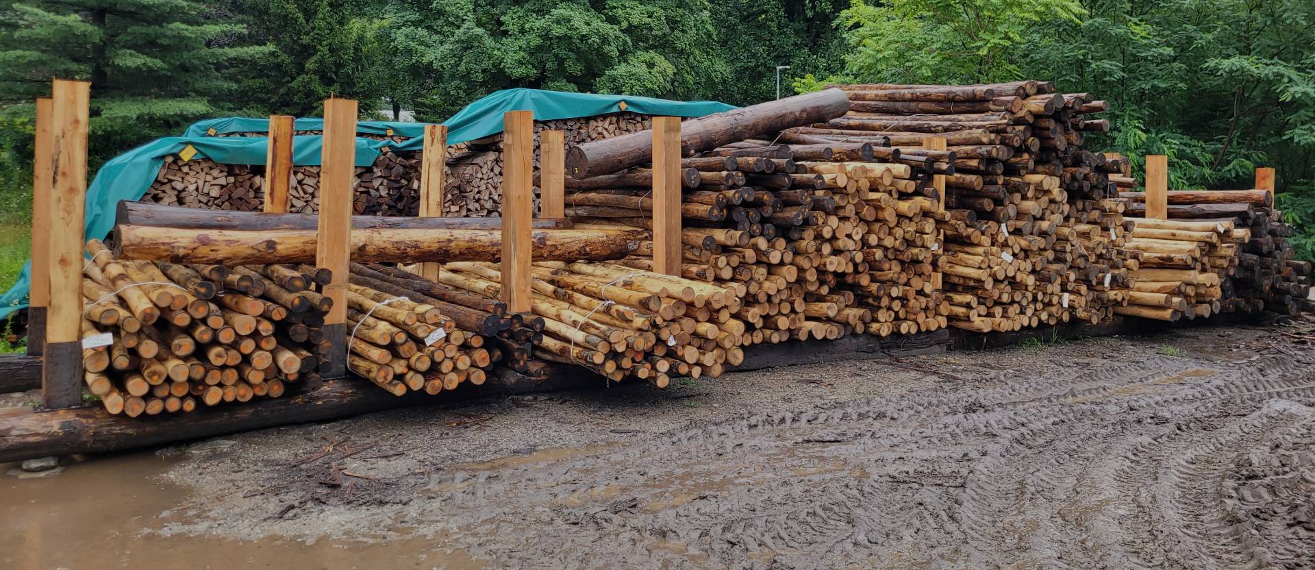 Chi Siamo | Profor SA Chi Siamo | Profor SA