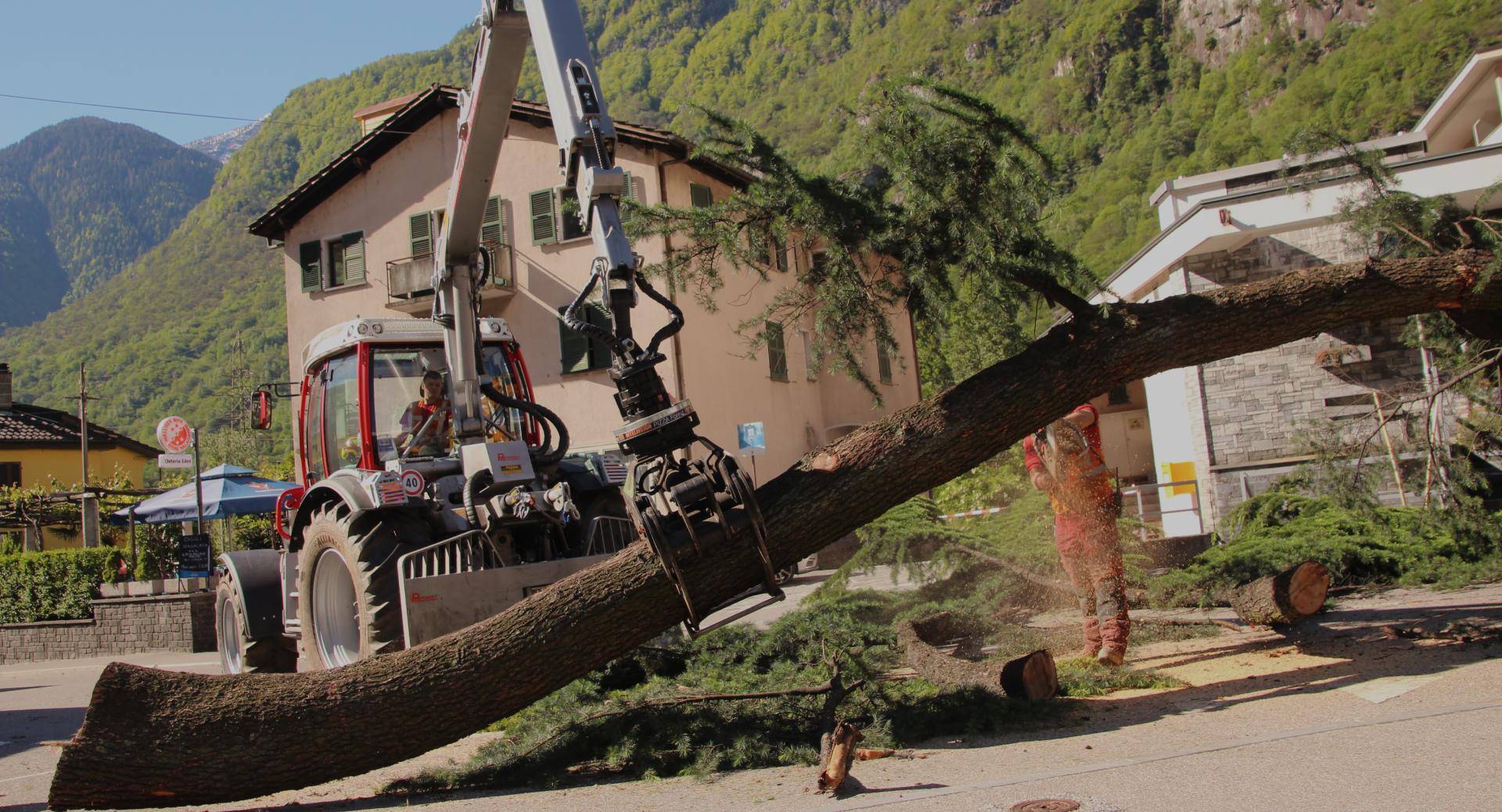 Chi Siamo | Profor SA Chi Siamo | Profor SA